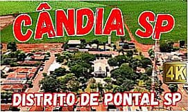 Candia - Vista parcial de Candia, distrito de Pontal - SP