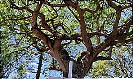 Canguera - Pra�a em Canguera, distrito de S�o Roque - SP