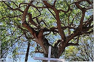 Pra�a em Canguera, distrito de S�o Roque - SP