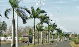 Castilho - Avenida Getulio Vargas, Por Henrique