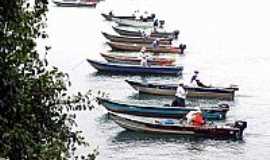 Castilho - Pescadores no torneio de pesca