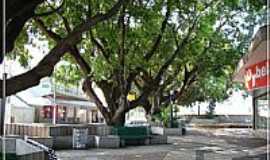 Cerquilho - Cerquilho-SP-Rua Dr.Soares Hungria-Foto:Fbio Barros