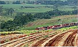 Cordeirpolis - Trem entre Cordeirpolis e Limeira