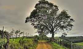 Coronel Macedo - Serra de Macedo