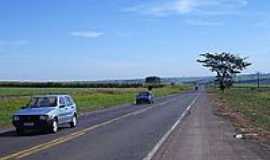 Crrego Rico - Rodovia-Foto:MARCO AURELIO ESPARZ