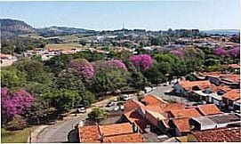Corumbata� - Florada de Ip� em Corumbata� - SP