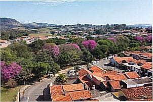 Florada de Ip� em Corumbata� - SP