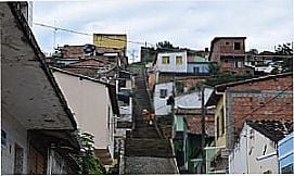 Pau Brasil - Imagens da cidade de Pau Brasil - BA