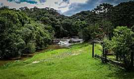 Cunha - Parque Estadual da Serra do Mar