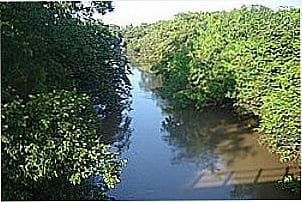 Rio S�o Jos� dos Dourados em Dalas, distrito de Palmeira D�Oeste - SP
