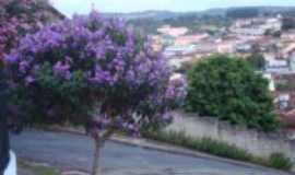 Esprito Santo do Pinhal - Por Claudemir Ivo G Costa