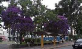 Esprito Santo do Pinhal - Esprito Santo do Pinhal - SP - Por Claudemir Ivo G Costa