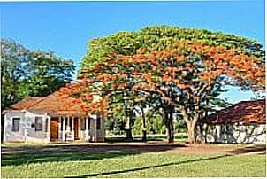 Imagem de Fazenda Velha, distrito de Ces�rio Lange - SP