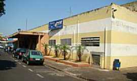 Fernandpolis - Mercado Municipal-Foto:Eduardo Uliana