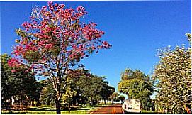 Frutal do Campo - Pra�a em Frutal do Campo, distrito de C�ndido Mota - SP