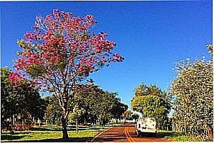 Pra�a em Frutal do Campo, distrito de C�ndido Mota - SP