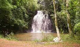 Gavio Peixoto - Imagens da cidade de Gavio Peixoto - SP - Cachoeira do Arang