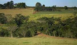 Gavio Peixoto - Gavio Peixoto-SP-Paisagem rural-Foto:Zekinha