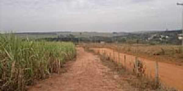 Estrada de terra e ao fundo a cidade de Guaianas-SP-Foto:Agrodoce