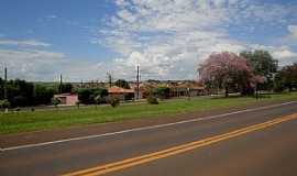 Guariba - Rodovia Jos Corona, SP-328/326, que d acesso a cidade de Guariba. por MARCO AURLIO ESPARZA 