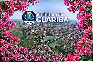 Vista a�rea da cidade  de Guariba - SP