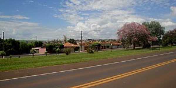 Rodovia Jos Corona, SP-328/326, que d acesso a cidade de Guariba. por MARCO AURLIO ESPARZA 