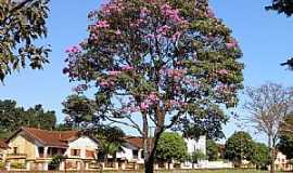 Igarapava - Igarapava-SP-Praa coronel Quito em Usina Junqueira-Foto:Altemiro Olinto Cristo