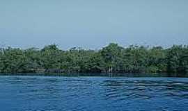 Ilha Diana - Ilha Diana-SP-Vista da Mata Atlntica-Foto:www.flickr.com 