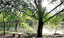 Ipe�na - Paisagem beira rio em Ipe�na - SP