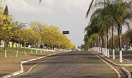 Iracempolis - Iracempolis-SP-Coqueiros e Ips amarelos na Avenida Principal-Foto:Ache Tudo e Regio