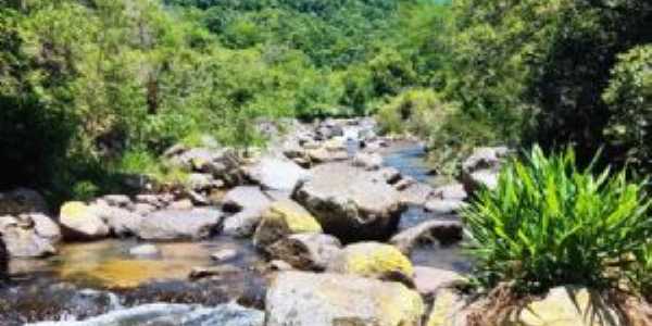 foto tigre- rio cordas grande, Por Tigre Camargo