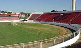 Itu - Itu-SP-Campo do Estádio Novelli Junior-Foto:www.itunacopa.