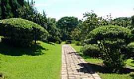 Itu - Jardim no Pesqueiro e Pousada Maeda em Itu-SP-Foto:Ernandes C Santos