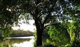 Piraj - Piraj-BA-Bela rvore na beira do Lago no Parque So Bartolomeu-Foto:Sidney Zaratustra
