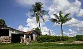 Jamaica - Imagem rural-Foto:Profjcesar.ms