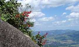 Joanpolis - Flores na escosta da Serra em Joanpolis-Foto:Altemiro Olinto Cris