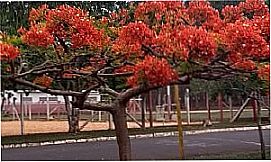 Jo�o Ramalho - Pra�a em Jo�o Ramalho - SP