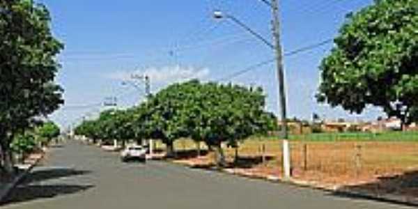 Rua da cidade-Foto:Eduardo M. P. Dantas