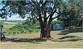 Junqueira - Imagem de Junqueira, distrito de Junqueir�polis - SP