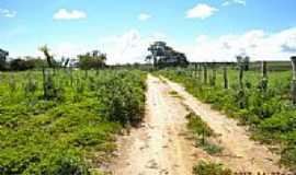 Pirip - Estrada de terra na rea rural em Pirip-BA-Foto:Cssio - jacaraci