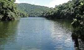 Mairipor - Parque Estadual da Serra da Cantareira
Foto Joo Savioli