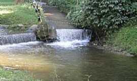 Mairipor - Parque Estadual da Serra da Cantareira
Foto Joo Savioli