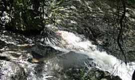 Mairipor - Parque Estadual da Serra da Cantareira
Foto Joo Savioli