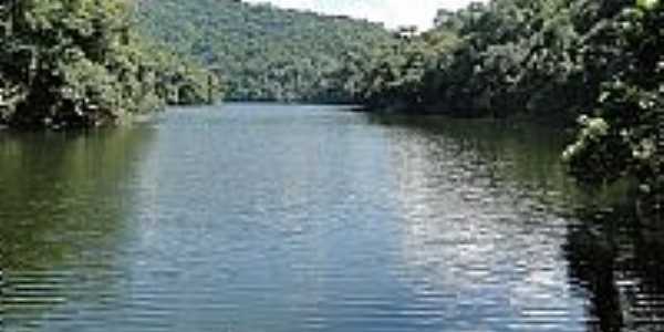 Parque Estadual da Serra da Cantareira
Foto Joo Savioli