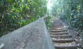 Manduri - Escadaria na trilha do horto por amadeupalma