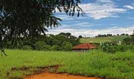 Maracai - Vista da rea rural de Maraca-SP-Foto:gustavo_asciutti