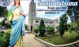Martinpolis - Igreja Matriz e a padroeira Santa Bibiana, Por Jos Carlos Daltozo
