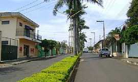 Mineiros do Tiet - Mineiros do Tiet-SP-Avenida Frederico Ozanan-Foto:Gerson Luciano