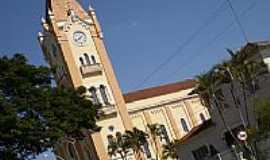 Monte Alto - Igreja Matriz Senhor Bom Jesus em Monte Alto-Foto:Mentore Conti