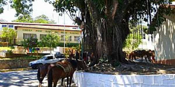 Imagens do Distrito das Mostardas - SP